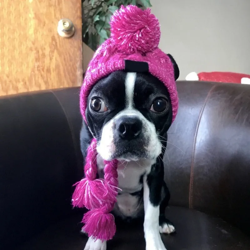 Winter Knitted Hat for French Bulldog -  Best Frenchie Beanie