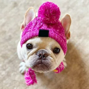 Winter Knitted Hat for French Bulldog -  Best Frenchie Beanie