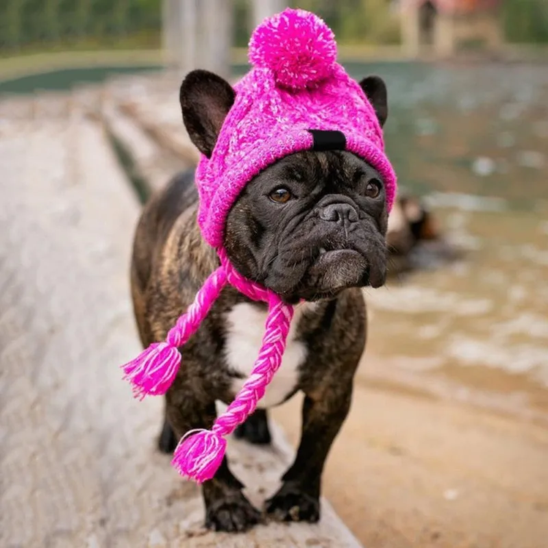 Winter Knitted Hat for French Bulldog -  Best Frenchie Beanie